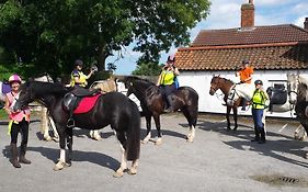 Donegal Court Yard